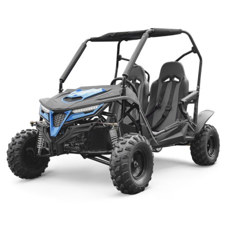 Buggy / Karting, Buggy LMR XXL 2 places enfant 210cc - bleu, LeMiniRider