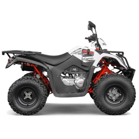 Quad Kayo 200cc AU200 homologué Nouveautés