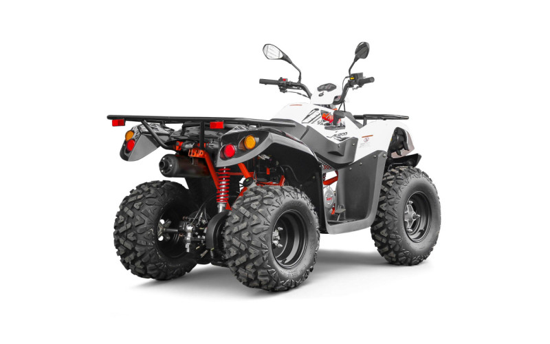 Quad Kayo 200cc AU200 homologué Nouveautés