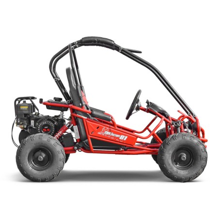 Buggy / Karting, Buggy LMR enfant 2 places 160cc - rouge, LeMiniRider